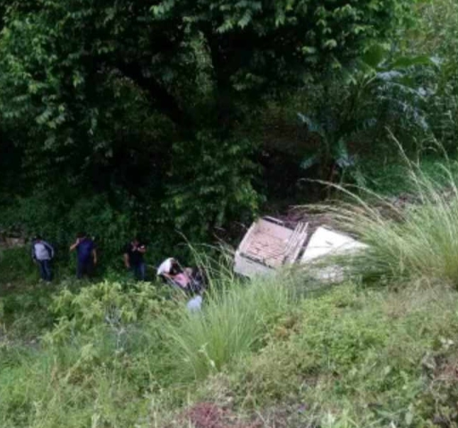 सल्यानमा जिप दुर्घटना, ५ जना घाइते